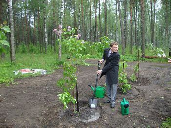 Friendship Avenue in Kolotilovka