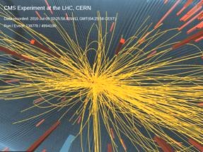 CMS at the Large Hadron Collider