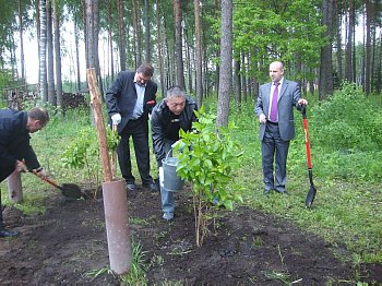 Chen Zitao. Liliac bush planting in Friendship Avenue Chen Zitao. Liliac bush planting in Friendship Avenue