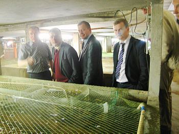 The Club Members have visited the Mottra caviar processing factory