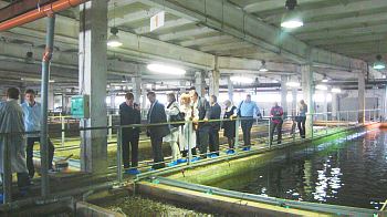  The Club Members have visited the Mottra caviar processing factory
