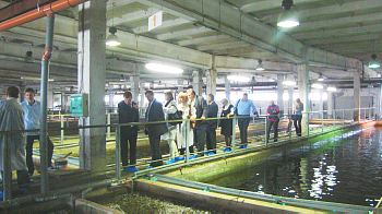 The Club Members have visited the Mottra caviar processing factory The Club Members have visited the Mottra caviar processing factory
