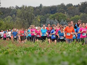  Greifensee — lauf 