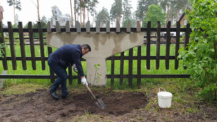 Ceriņu krūmi Draudzības Alejā. Kairats Kambarovs