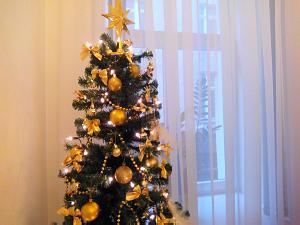 Рождественская и новогодняя елка в Посольстве Словакии