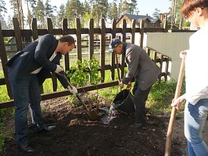  Pavasara ceriņu krūmi Draudzības Alejā. David Tomaševski. 