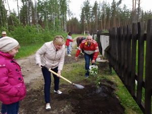  Planting lilac bushes. First Secretary, Embassy of Hungary Aleksandra Csizmadia 