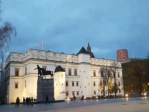  Strengthening of international cooperation. Club meeting in Vilnius 